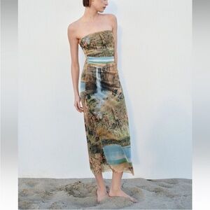 Zara Printed Tulle Dress